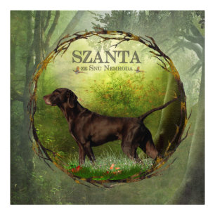 ドイツ短剣ポインタ， SZANTA from Nemrod's フォトプリント