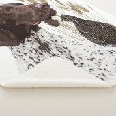 ドイツ短編集ポインター(GSP)ポストカードコーヒー シェルパブランケット (3/4)