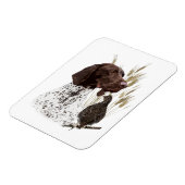 ドイツ短編集ポインター(GSP)ポストカードコーヒー マグネット (左側)