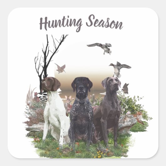 ドイツ短調ポインター(GSP)、狩りキジ スクエアシール (正面)