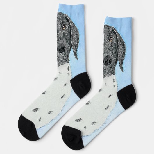 ドイツ短調ポイン絵画ター – Artオリジナル ソックス (左)