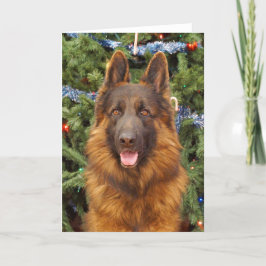 ドイツ羊飼いのクリスマスカード シーズンカード