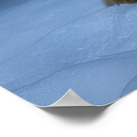 ドイツ羊飼いの雪そりのクリスマスデコール ポスター (角)