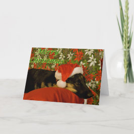ドイツ羊飼いクリスマスカードII シーズンカード