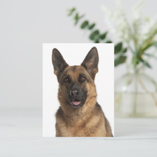 ドイツ羊飼い子犬空白のポストカード ポストカード (スタンド正面)