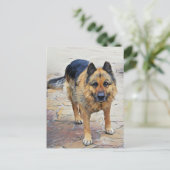 ドイツ羊飼い犬はがき ポストカード (スタンド正面)