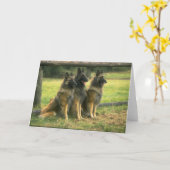 ドイツ羊飼い犬グリーティングカード カード (黄色い花)