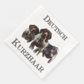 ドイツ語のポインタ (コーナー)