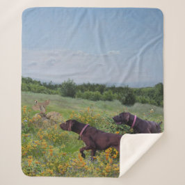 ドイツ語のポインタ シェルパブランケット