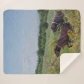 ドイツ語のポインタ シェルパブランケット (正面(横))