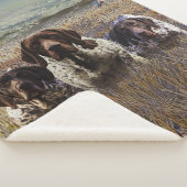 ドイツ語のポインタ シェルパブランケット (3/4)