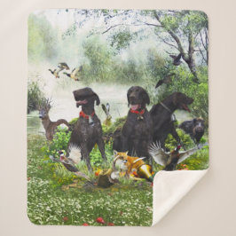 ドイツ語のポインタ シェルパブランケット