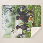 ドイツ語のポインタ シェルパブランケット (正面(横))