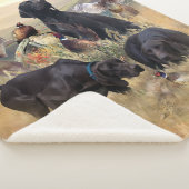 ドイツ語のポインタ シェルパブランケット (3/4)