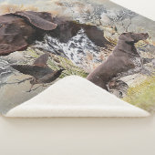 ドイツ語のポインタ シェルパブランケット (3/4)