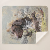 ドイツ語のポインタ シェルパブランケット (正面(横))