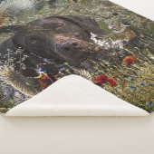 ドイツ語のポインタ シェルパブランケット (3/4)