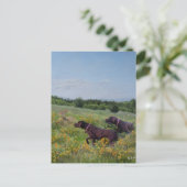 ドイツ語のポインタ シーズンポストカード (スタンド正面)