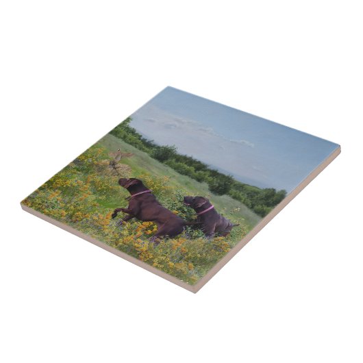 ドイツ語のポインタ タイル (側面)