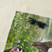 ドイツ語のポインタ ビーチタオル (インサイチュ)