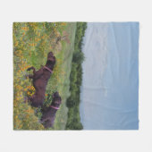 ドイツ語のポインタ フリースブランケット (正面(横))