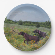 ドイツ語のポインタ