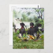 ドイツ語のポインタ ポストカード (正面/裏面)