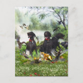 ドイツ語のポインタ ポストカード (正面)