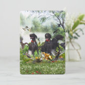 ドイツ語のポインタ 招待状 (スタンド正面)