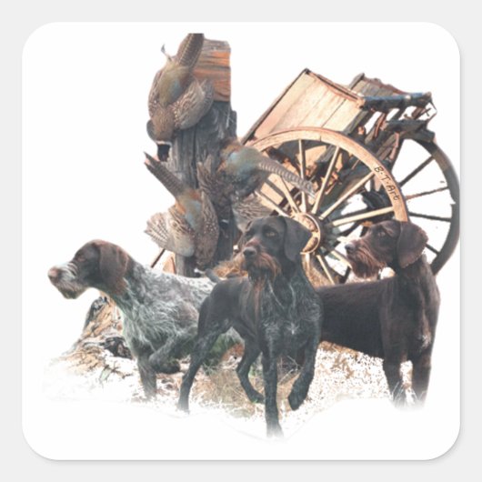 ドイツ語のワイヤーヘアポインタのシール スクエアシール (正面)