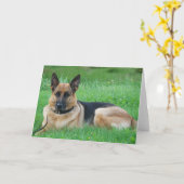 ドイツ語の合唱 – 犬のグリーティングカード カード (黄色い花)