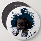 ドイツ語の短いポインタ、おもしろい顔 缶バッジ (正面&裏面)