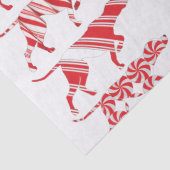 ドイツ語の短いポインタ – ティッシュペーパー- GSP 薄葉紙 (詳細)