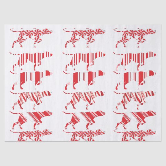 ドイツ語の短いポインタ – ティッシュペーパー- GSP 薄葉紙 (正面)