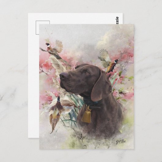 ドイツ語の短いポインタ ポストカード (正面/裏面)