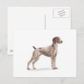 ドイツ語の短いポインタ ポストカード (正面/裏面)