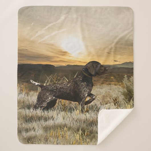 ドイツ語の短いポインタ(GSP) シェルパブランケット (正面)