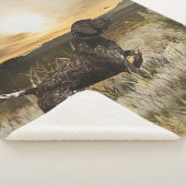 ドイツ語の短いポインタ(GSP) シェルパブランケット (3/4)