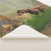 ドイツ語の短いポインタ(GSP) シェルパブランケット (3/4)