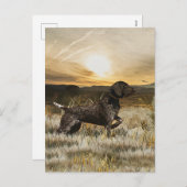 ドイツ語の短いポインタ(GSP) シーズンポストカード (正面/裏面)