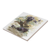 ドイツ語の短いポインタ(GSP) タイル (側面)