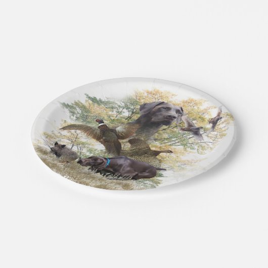 ドイツ語の短いポインタ(GSP) ペーパープレート (アングル)