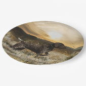 ドイツ語の短いポインタ(GSP) ペーパープレート (アングル)