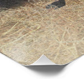 ドイツ語の短いポインタ(GSP) ポスター (コーナー)