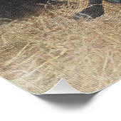 ドイツ語の短いポインタ(GSP) ポスター (コーナー)