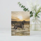 ドイツ語の短いポインタ(GSP) ポストカード (スタンド正面)