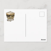 ドイツ語の短いポインタ(GSP) ポストカード (裏面)