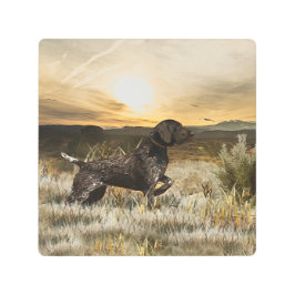 ドイツ語の短いポインタ(GSP) メタルプリント