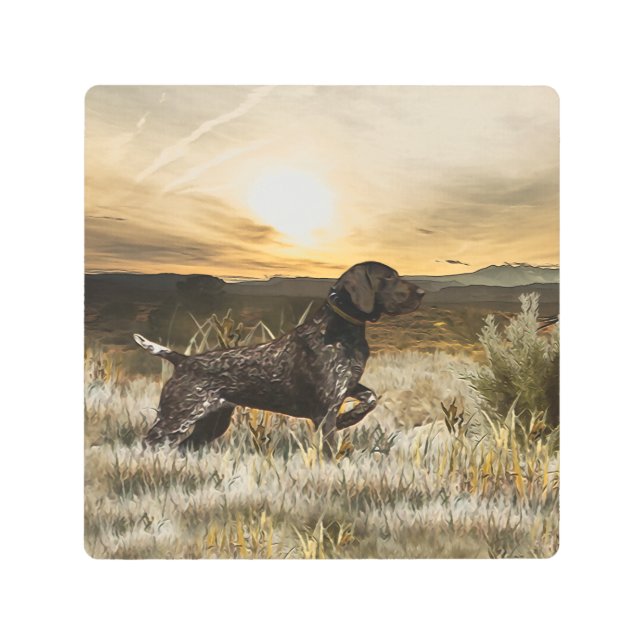 ドイツ語の短いポインタ(GSP) メタルプリント (正面)