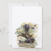 ドイツ語の短いポインタ(GSP) 招待状 (裏面)